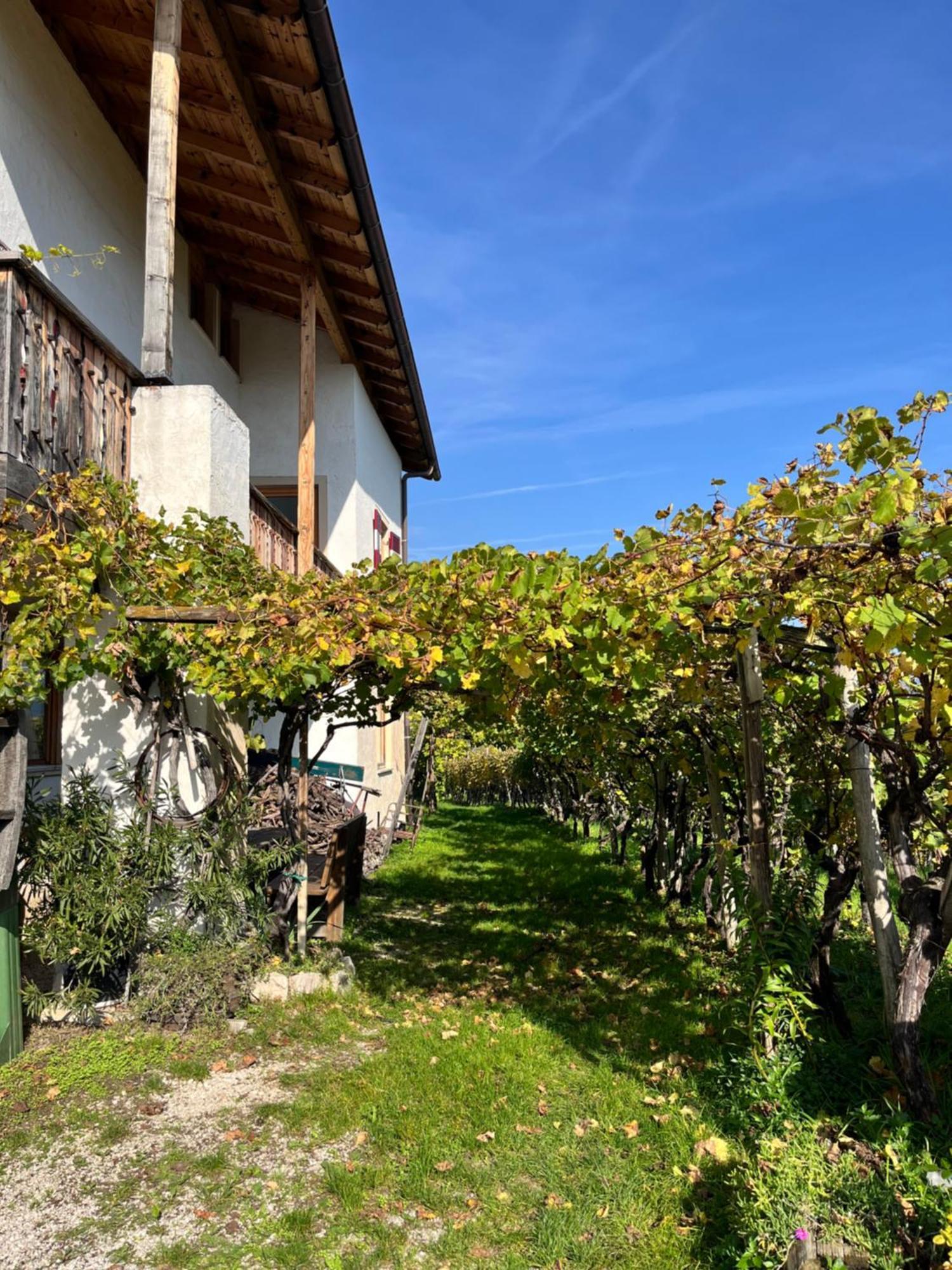 Voldersberghof Apartment Кортача Екстериор снимка